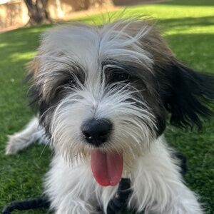 Meet your Posher, Kings Vision United